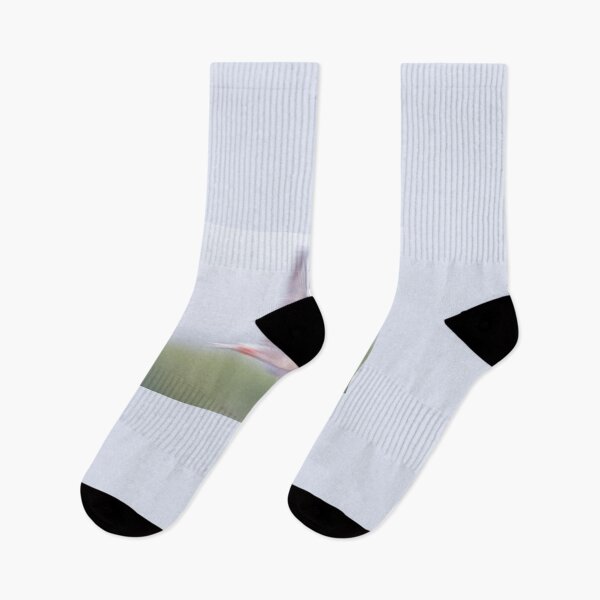 Item preview, Common Tern Zooming designed and sold by Gerard Fornarotto.