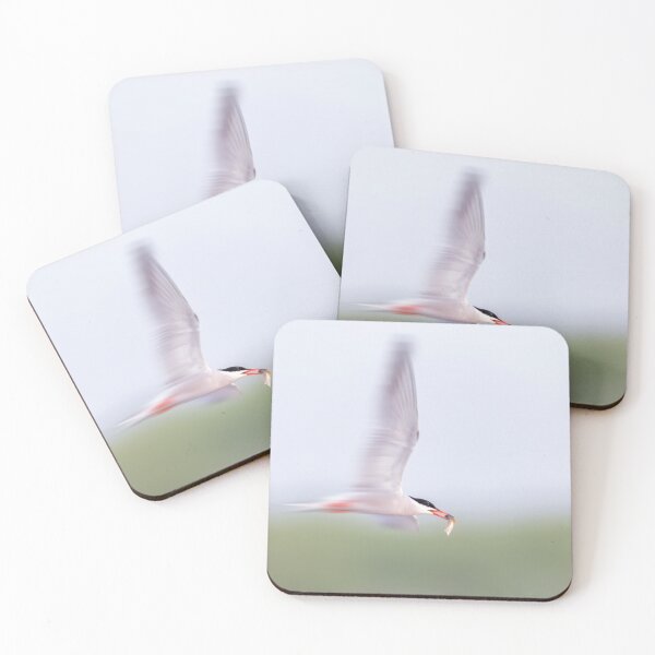 Item preview, Common Tern Zooming designed and sold by Gerard Fornarotto.