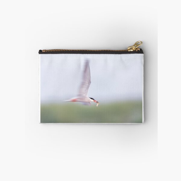 Item preview, Common Tern Zooming designed and sold by Gerard Fornarotto.