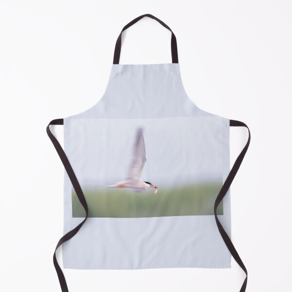 Item preview, Common Tern Zooming designed and sold by Gerard Fornarotto.