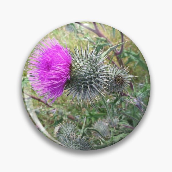 Item preview, Thistle... designed and sold by RichImage.