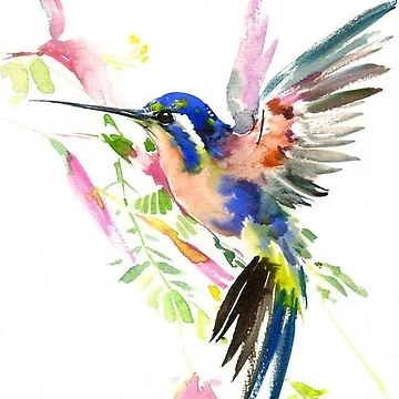 Artwork thumbnail, Hummingbird by httpsmarisa