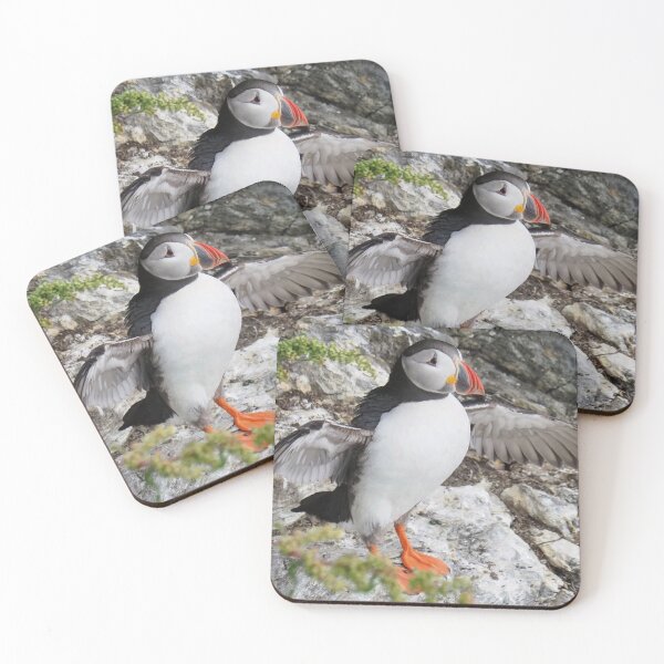 Item preview, A puffin at Cantick Head on Hoy designed and sold by Alan Mackinnon.