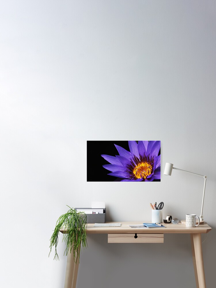 Póster «Flor morada oscura» de Octilair | Redbubble