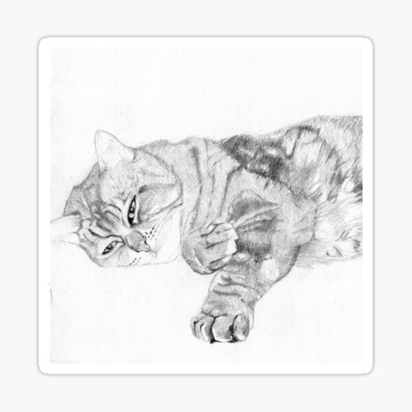 Item preview, Tabby Cat Relaxing Detail designed and sold by DavidASmith.