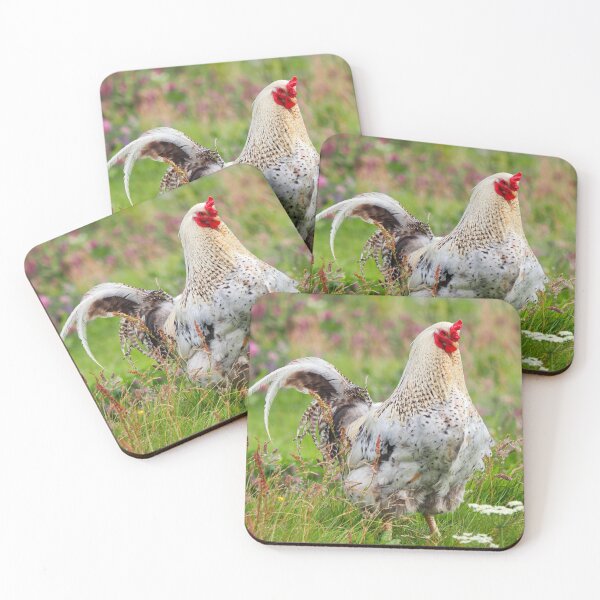 Item preview, Free range cockerel at Cantick Head designed and sold by Alan Mackinnon.