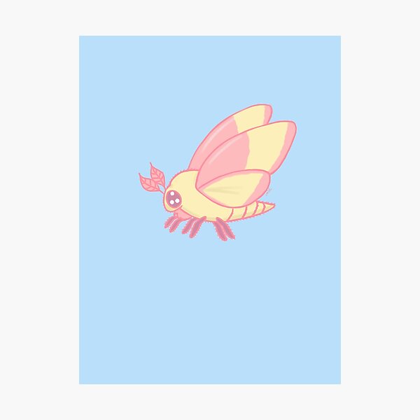 Rosy Maple Moth (large), an art print by Lo Rae Creates - INPRNT