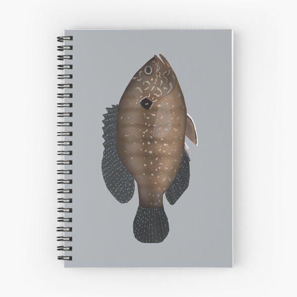 Item preview, Banded Sunfish designed and sold by fishfolkart.