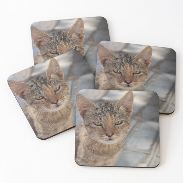 Item preview, Portrait of a stray cat in Bukhara, Uzbekistan designed and sold by Two-Tickets-To.