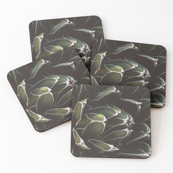 Item preview, Succulent photography designed and sold by MaianLorena.