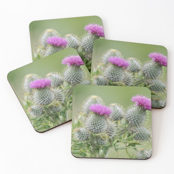Item preview, The flower of Scotland at Cantick Head ??????? designed and sold by Alan Mackinnon.