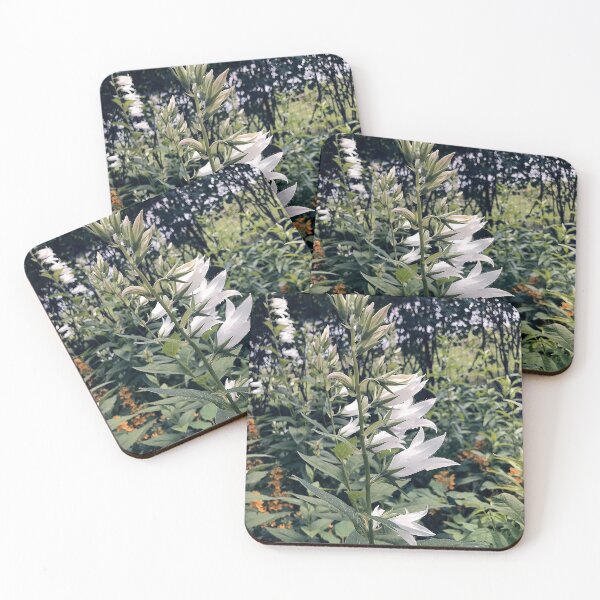 Item preview, White bellflower designed and sold by vieno.