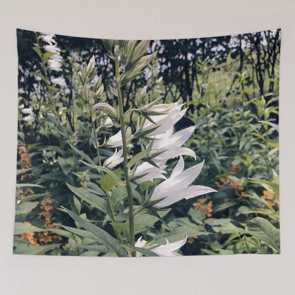 Item preview, White bellflower designed and sold by vieno.