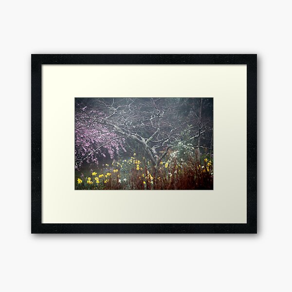 Misty Spring Garden Framed Art Print