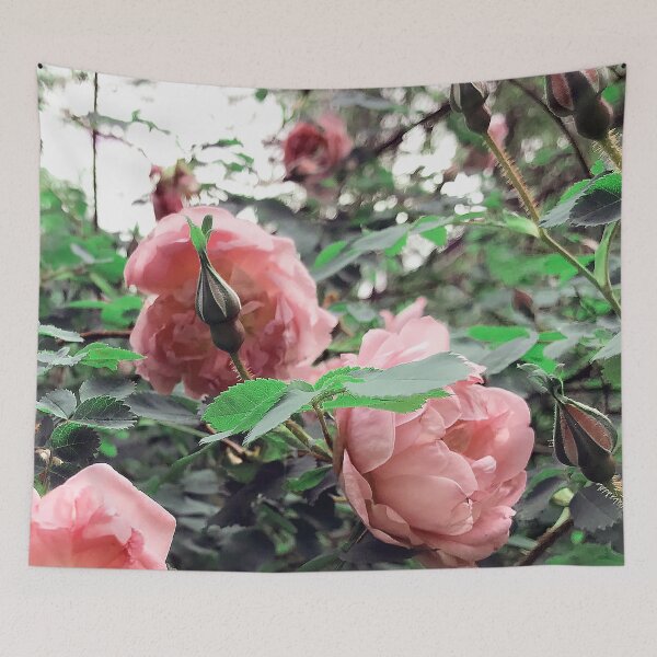 Item preview, Pink roses designed and sold by vieno.