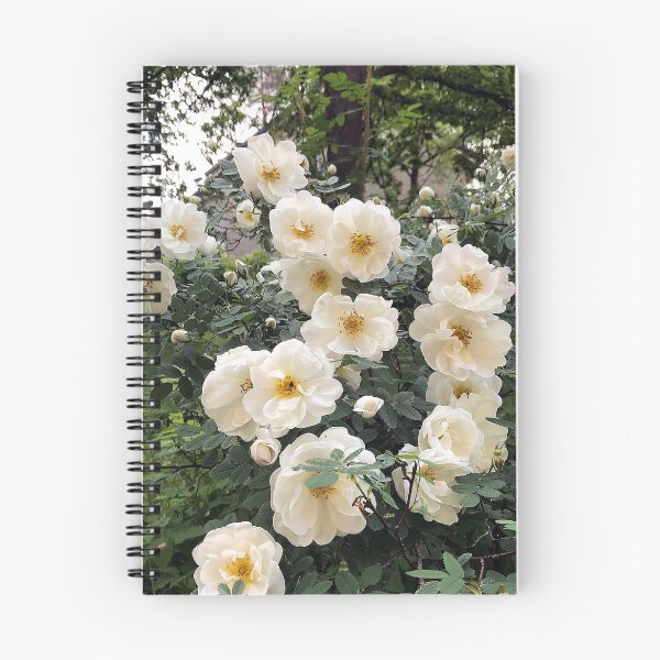 Item preview, Wall of roses designed and sold by vieno.