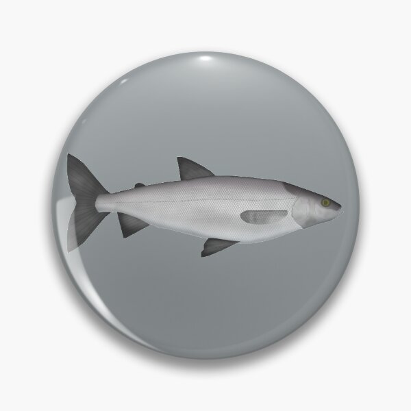 Item preview, Cisco designed and sold by fishfolkart.