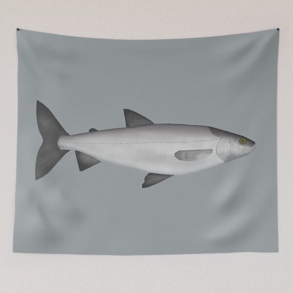 Item preview, Cisco designed and sold by fishfolkart.