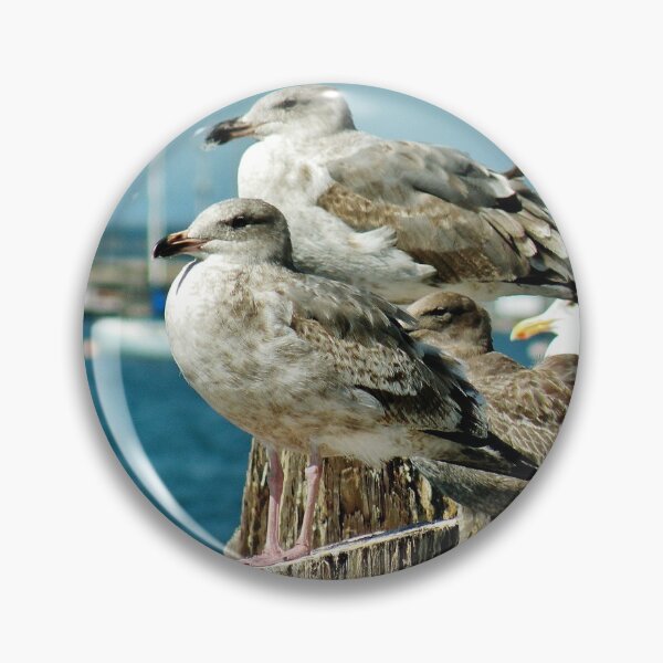Item preview, Seagull Aristocracy designed and sold by Martha Sherman.