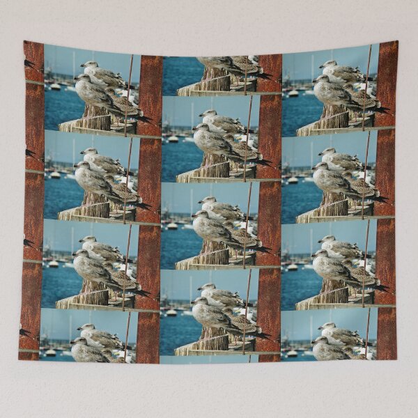 Item preview, Seagull Aristocracy designed and sold by Martha Sherman.