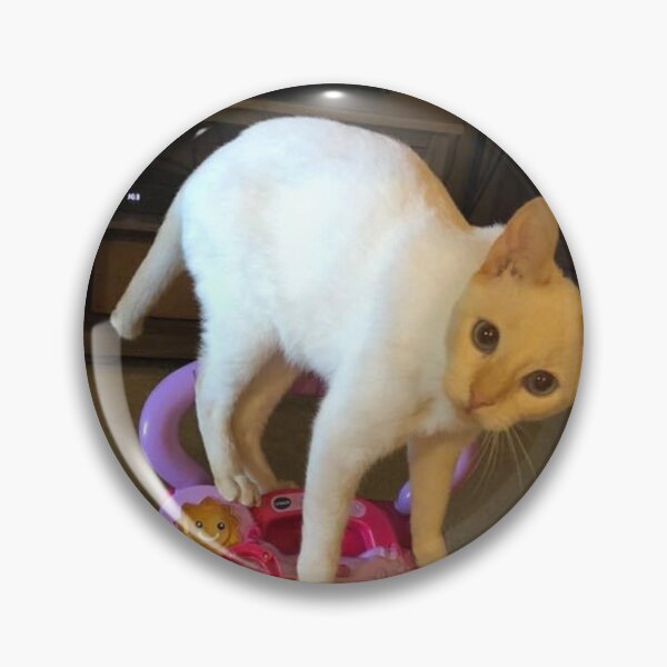 Item preview, Binx will play with anything designed and sold by NeuroDan.