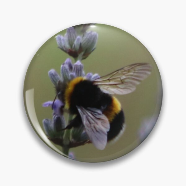 Item preview, Beehave designed and sold by Ladymoose.
