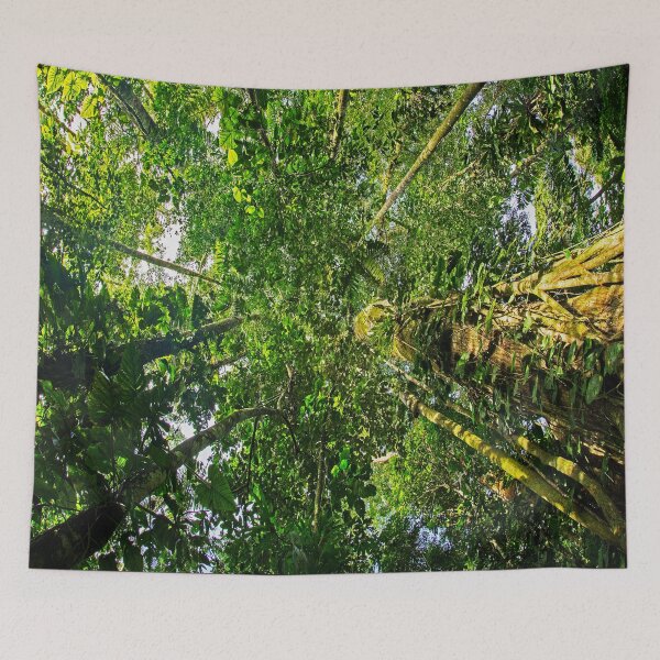 Item preview, Punto de fuga de vista ultra amplia de la selva tropical amazónica mirando hacia arriba. designed and sold by UrTops.