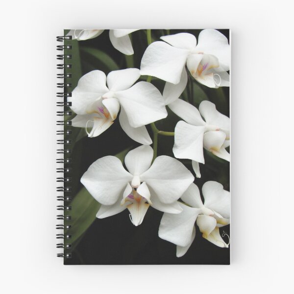 Item preview, A Spray of White Orchids designed and sold by ElenaGaillard.
