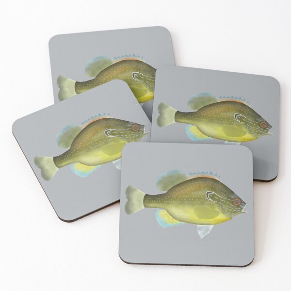 Item preview, Dollar Sunfish designed and sold by fishfolkart.