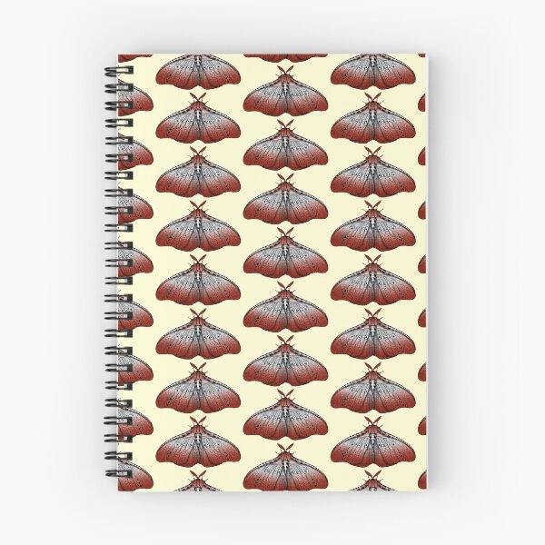Item preview, Maroon Moth designed and sold by MagicMama.
