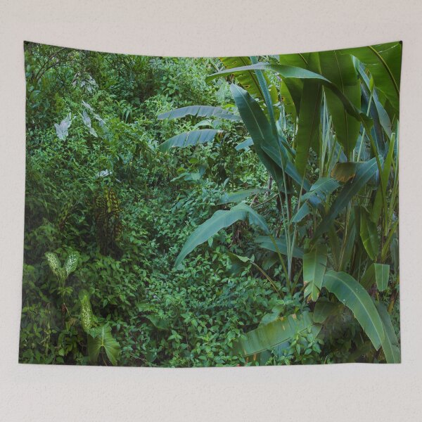 Item preview, Diversidad de plantas a nivel del suelo de la selva tropical amazónica. designed and sold by UrTops.