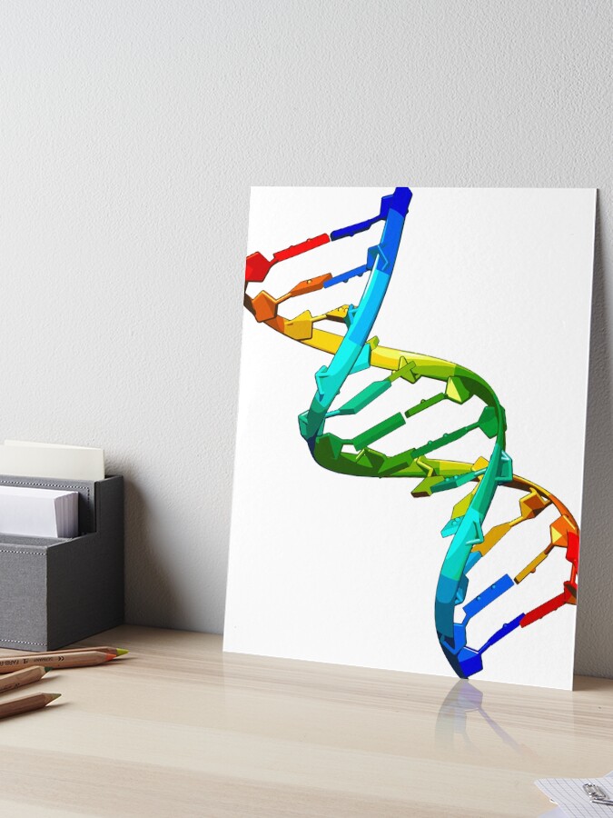 DNA Double Helix