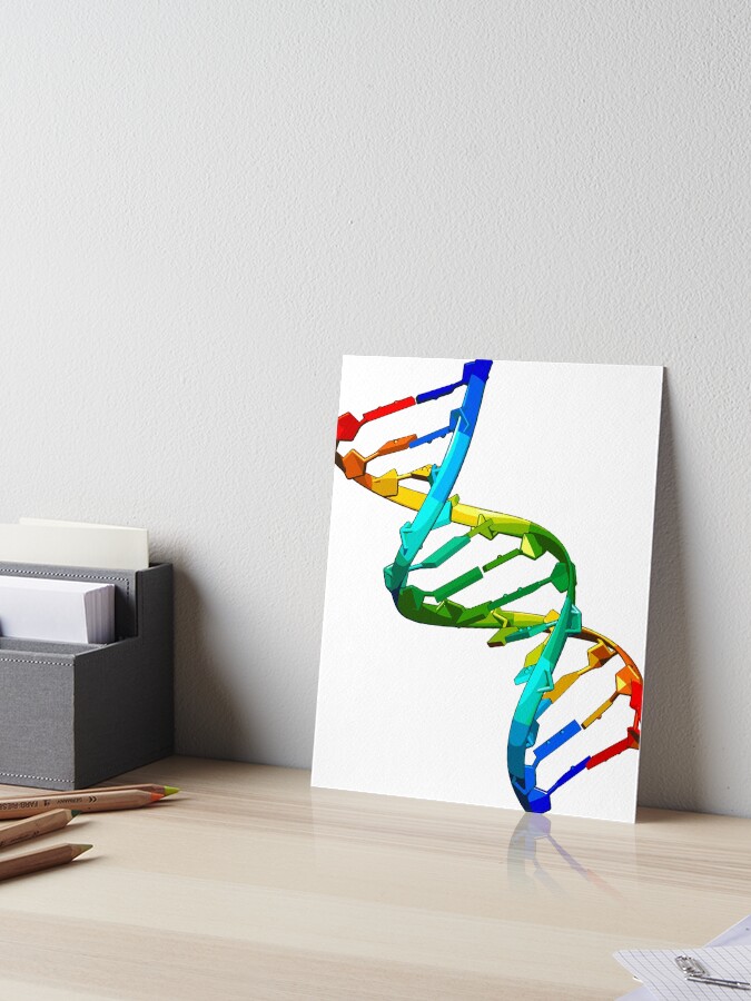 DNA Double Helix