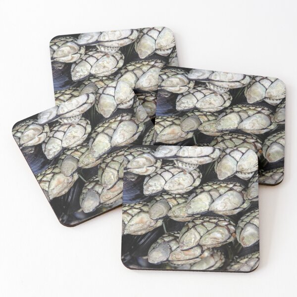 Item preview, California Mussels designed and sold by heatherfriedman.