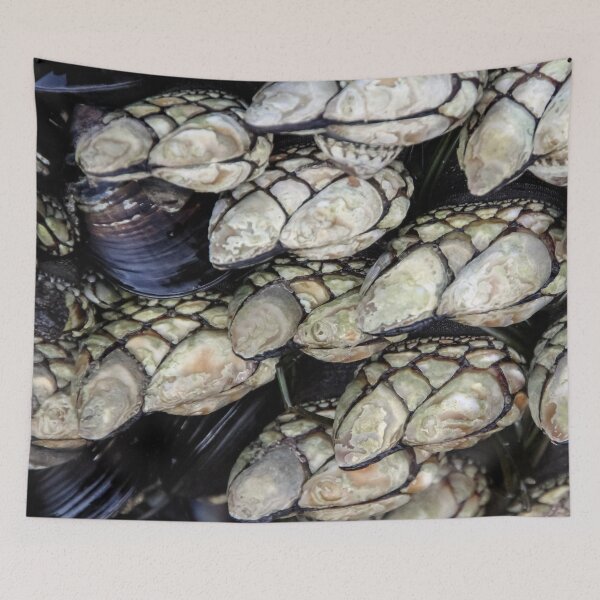 Item preview, California Mussels designed and sold by heatherfriedman.