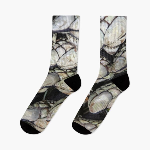 Item preview, California Mussels designed and sold by heatherfriedman.