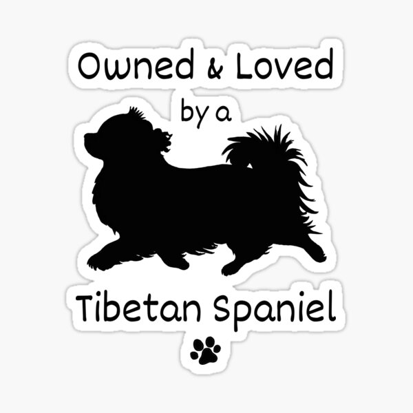 Cute Owned and Loved by a Tibetan Spaniel Design for the Tibbie Lover Sticker
