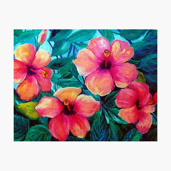 Hibiscus - Image to bring in nature Photographic Print