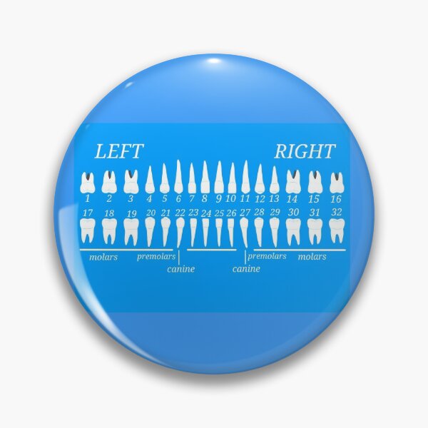 Item preview, Dentist Teeth designed and sold by Ninjawhere.