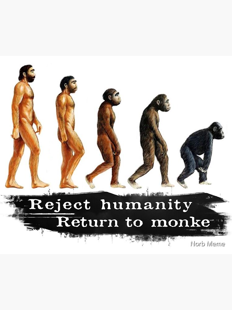 Reject Humanity Return to Monke Evolution Funny Chimp Meme - Reject  Humanity - Sticker