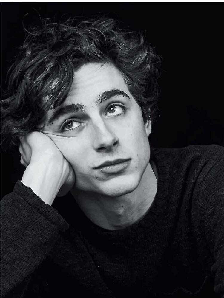 Timothee chalamet best sale black sweatshirt