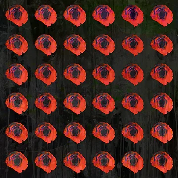 Artwork thumbnail, Black Roses by WildUnit