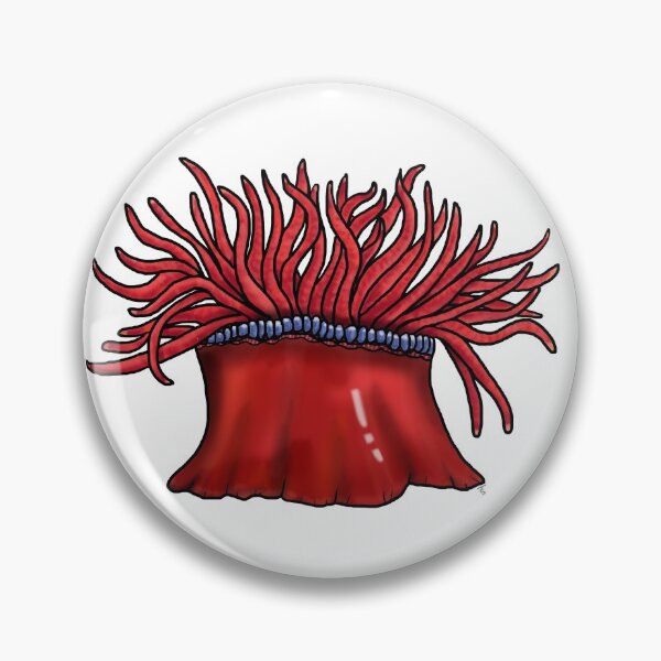 Item preview, Beadlet Anemone designed and sold by jackapod.