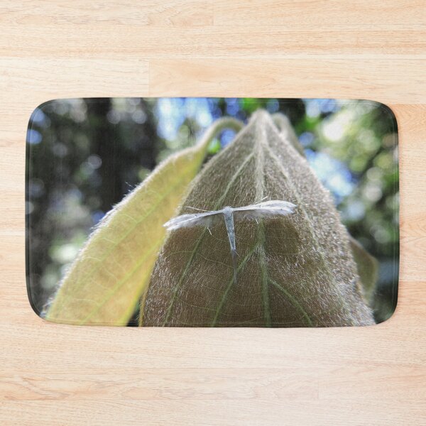 Item preview, Plume Moth - Dorrigo National Park, New South Wales designed and sold by Marilyn Harris.