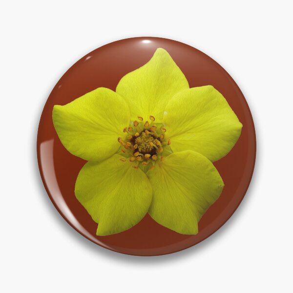 Item preview, Shrubby Cinquefoil #1 designed and sold by GobaFineArts.