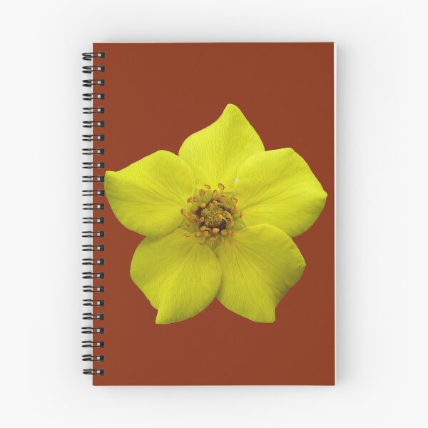 Item preview, Shrubby Cinquefoil #1 designed and sold by GobaFineArts.