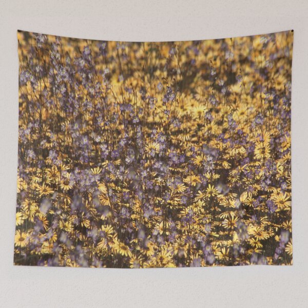 Item preview, Spring wildflower mass daisy & blue sporrie display, Cape West Coast, South Africa. designed and sold by UrTops.