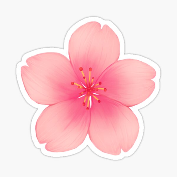 Cherry Blossom Flower Sticker by Henry&Jules