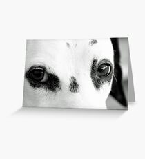 DALMATIAN Greeting Card