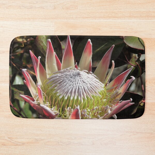 Item preview, The King Protea (Protea cynaroides) designed and sold by Marilyn Harris.
